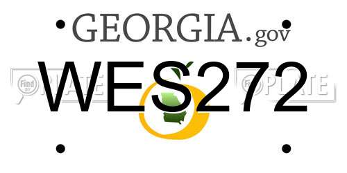 WES272 Georgia License Plate