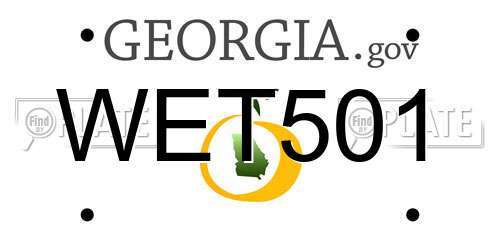 WET501 Georgia License Plate