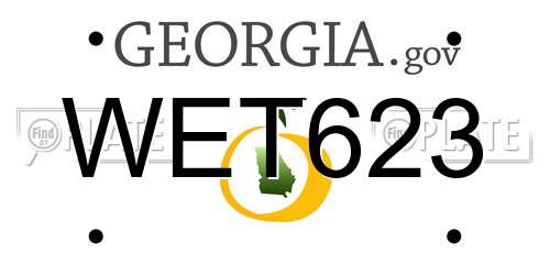 WET623 Georgia License Plate