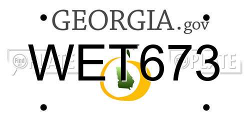 WET673 Georgia License Plate