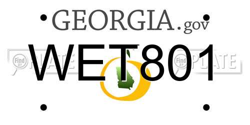 WET801 Georgia License Plate