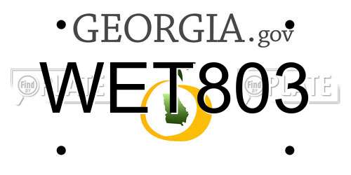 WET803 Georgia License Plate