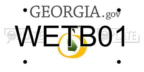 WETB01 Georgia License Plate