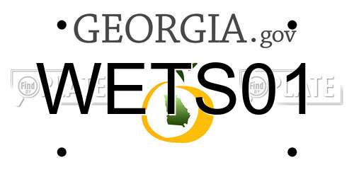 WETS01 Georgia License Plate