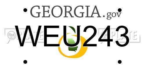 WEU243 Georgia License Plate