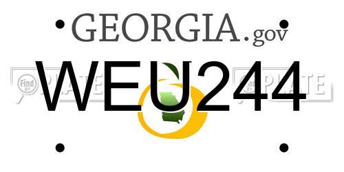 WEU244 Georgia License Plate