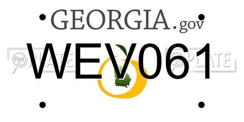 WEV061 Georgia License Plate