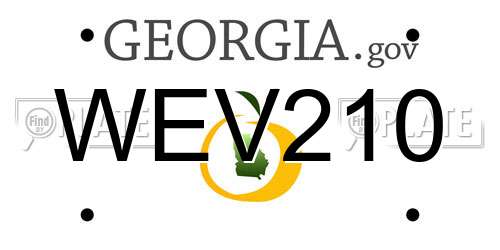 WEV210 Georgia License Plate