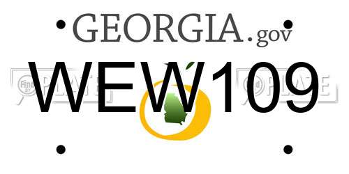 WEW109 Georgia License Plate