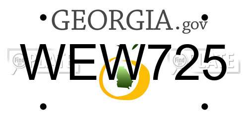 WEW725 Georgia License Plate