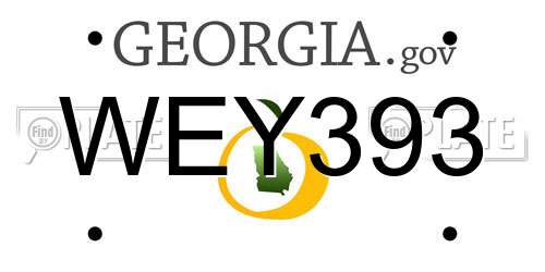 WEY393 Georgia License Plate