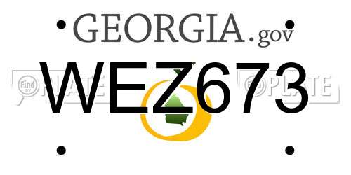 WEZ673 Georgia License Plate
