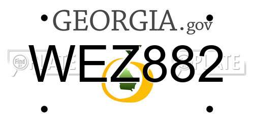 WEZ882 Georgia License Plate