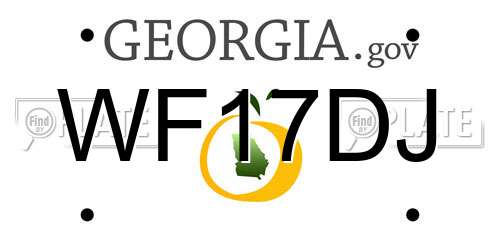 WF17DJ Georgia License Plate