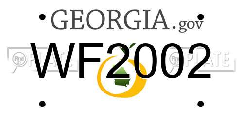 WF2002 Georgia License Plate