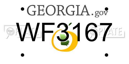 WF3167 Georgia License Plate