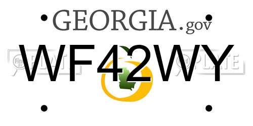WF42WY Georgia License Plate