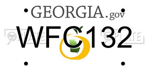 WFC132 Georgia License Plate