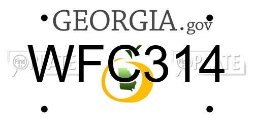 WFC314 Georgia License Plate
