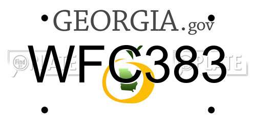 WFC383 Georgia License Plate
