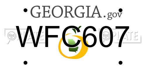 WFC607 Georgia License Plate