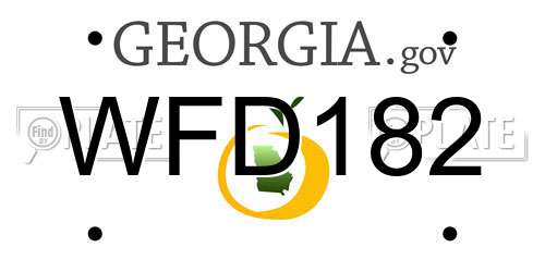WFD182 Georgia License Plate