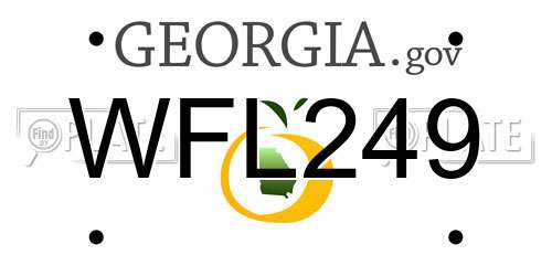 WFL249 Georgia License Plate
