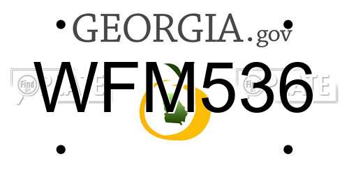 WFM536 Georgia License Plate