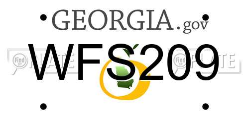 WFS209 Georgia License Plate