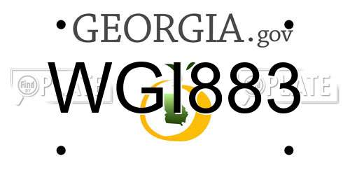 WGI883 Georgia License Plate