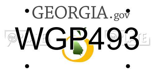 WGP493 Georgia License Plate