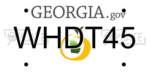 WHDT45 Georgia License Plate
