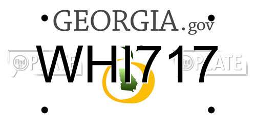 WHI717 Georgia License Plate
