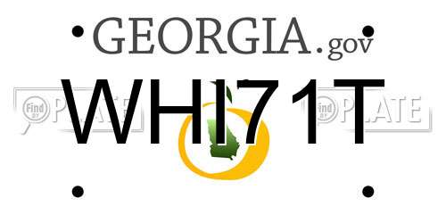 WHI71T Georgia License Plate