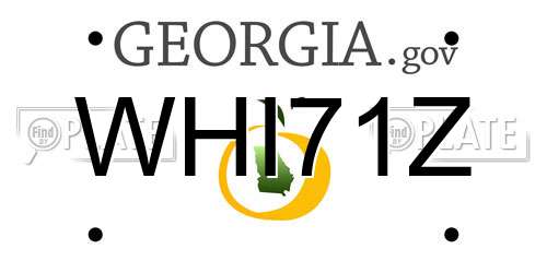 WHI71Z Georgia License Plate