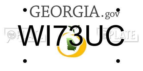 WI73UC Georgia License Plate