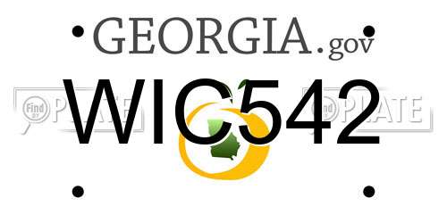 WIC542 Georgia License Plate
