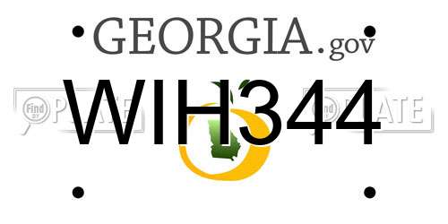 WIH344 Georgia License Plate