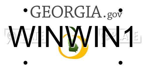 WINWIN1 Georgia License Plate
