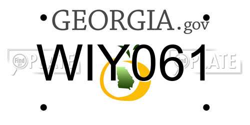 WIY061 Georgia License Plate