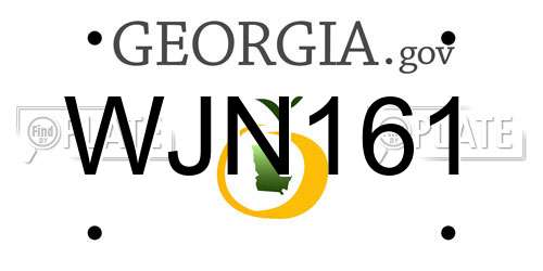 WJN161 Georgia License Plate
