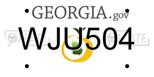 WJU504 Georgia License Plate