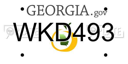 WKD493 Georgia License Plate