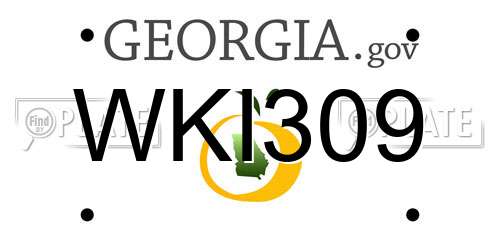 WKI309 Georgia License Plate