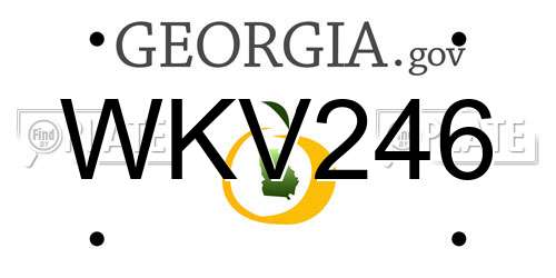 WKV246 Georgia License Plate