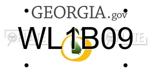 WL1B09 Georgia License Plate