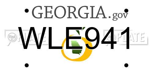 WLE941 Georgia License Plate