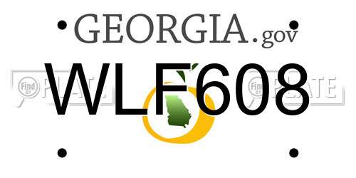WLF608 Georgia License Plate