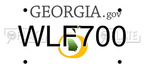 WLF700 Georgia License Plate