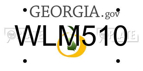 WLM510 Georgia License Plate